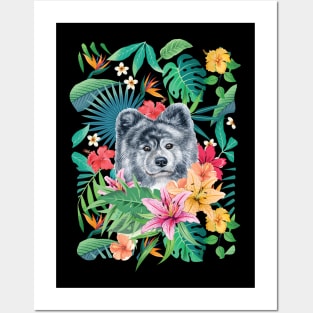 Tropical Long Haired Silver Akita Posters and Art